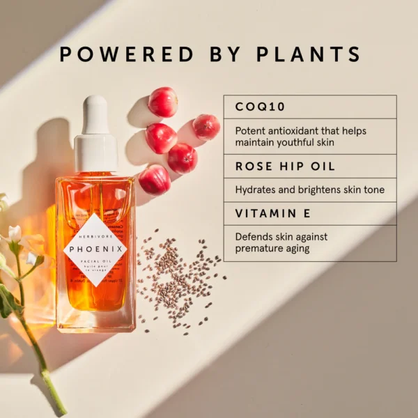 PHOENIX Rosehip Face Oil - Image 4